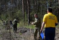 Во Львовской области высадили самую длинную в Украине липовую аллею