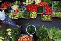 В Украине подскочили цены на сельхозпродукцию