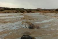 Количество жертв наводнения в Иордании возросло до 12