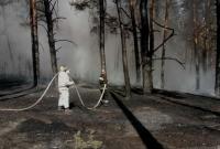 Масштабный лесной пожар в Харьковской области: к тушению подключили вертолет, самолет и поезд