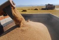 Экспорт зерновых в этом году уменьшился на 10,2%