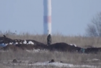 На видео попало, как украинский снайпер ликвидировал российского наемника на Донбассе