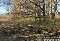 В Донецкой области пытались незаконно срубить лес