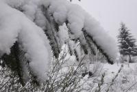 В Карпатах выпало 15 см снега