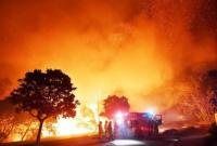 В Австралии лесной пожар почти уничтожил городок