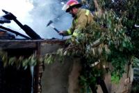 При пожаре в Одесской области сгорели 12 голов домашнего скота