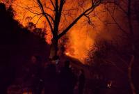 В Калифорнии еще 1,5 млн человек останутся без света из-за лесных пожаров