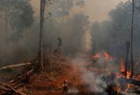 Пожары в Амазонии: Бразилия согласилась принять помощь