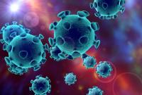 Пандемия: в мире COVID-19 заболели более 70 млн человек