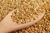 Після перемоги на тендері в Єгипті українська пшениця суттєво здорожчала