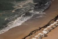 В Египте приказали закрыть пляж, где накануне утонули более 10 человек