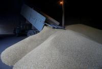 В украинских хранилищах сократились запасы зерновых, - Госстат