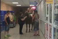 У Києві напівголий вершник на коні заїхав в супермаркет (відео)
