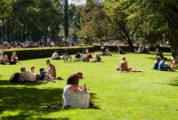 В Швеции в парках разбрасывают куриный помет, чтобы избежать скопления людей