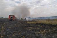 В Луганской области пять из шести очагов лесных пожаров локализовано
