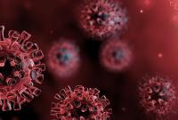 Эксперт рассказал, сколько сохраняется иммунная защита против COVID-19