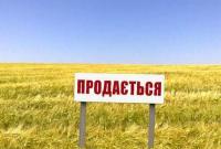 Озвучено регіони України з найдорожчою землею
