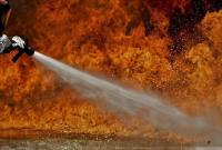В Алжире из-за лесных пожаров погибло больше 40 человек