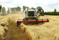Запорожские аграрии собрали самый большой за годы независимости урожай ранних зерновых