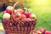 В Україні очікують високі ціна на яблука