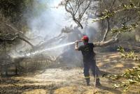 В Греции арестовали двух подозреваемых в поджоге лесов