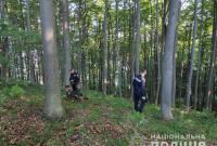 На Закарпатье пропало четверо детей, вечером ушедшие в лес: полицию подняли по тревоге