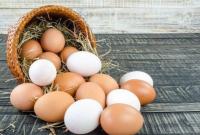 Виробництво яєць суттєво скорочено: якими будуть ціни