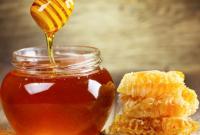 Стало відомо, чому збір меду в Україні різко скоротився