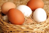 Ціни на яйця знову підвищилися
