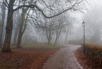 Украину накроют дожди и туман: объявлено штормовое предупреждение