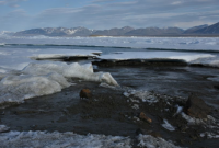 Возле Гренландии случайно нашли самый северный в мире остров