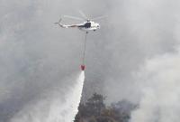 В курортной Анталии локализовали большинство лесных пожаров