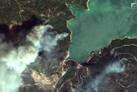 У Туреччині через природні пожежі евакуювали персонал ТЕЦ