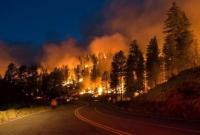 Более 200 пожаров: в России горит почти миллион гектаров леса