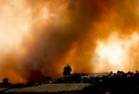 Турция взяла под контроль почти все лесные пожары. Пострадали 864 человека