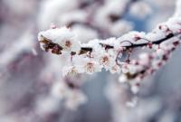 Снег 26 апреля не навредит будущему урожаю - синоптик