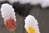 Апрельский снег в Украине не аномалия - синоптик