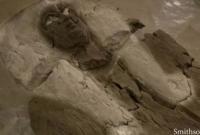 Археологи откопали саркофаг с принцессой Египта