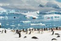 ЮАР планирует исследование Антарктики с использованием украинского ледокола - посол