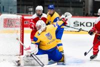 Молодежная сборная Украины победой завершила выступления на чемпионате мира в Эстонии