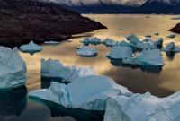 Арктиці загрожують дощі та вимирання деяких тварин через глобальне потепління