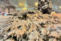Не рекорд: метеорологи оценили снегопад в Киеве