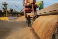 Экспорт зерна из Украины превысил 31 млн тонн