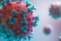 Британские ученые спрогнозировали срок окончания COVID-пандемии