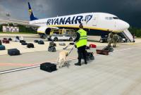 В Польше расследование не выявило угроз взрыва самолета Ryanair с Протасевичем на борту