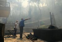 В Греции лесной пожар угрожает пригородам Афин