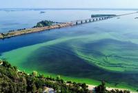 Цвіте вода: черкащани скаржаться, що Дніпро «стає болотом»