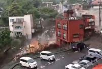 В Японии оползень снес десятки домов, есть погибшие