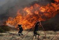 Кипр в огне: жертвами лесного пожара стали 4 человека, страна просит международной помощи
