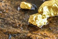 Турки начнут добывать золото в Украине